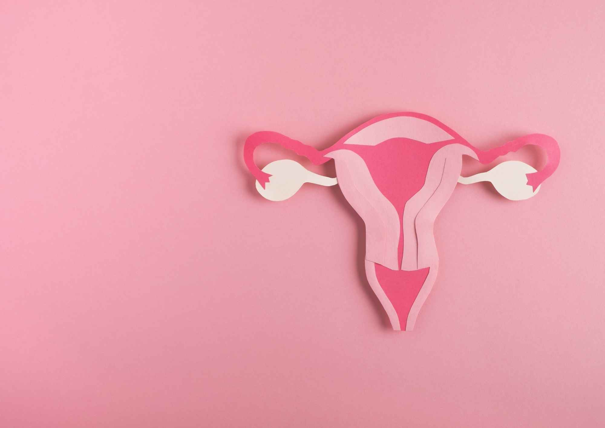 Understanding Sexual and Reproductive Health