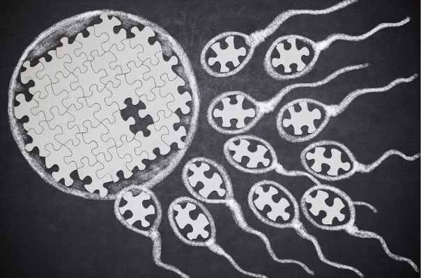 MYVER: Enhance Sperm & Reproductive Health